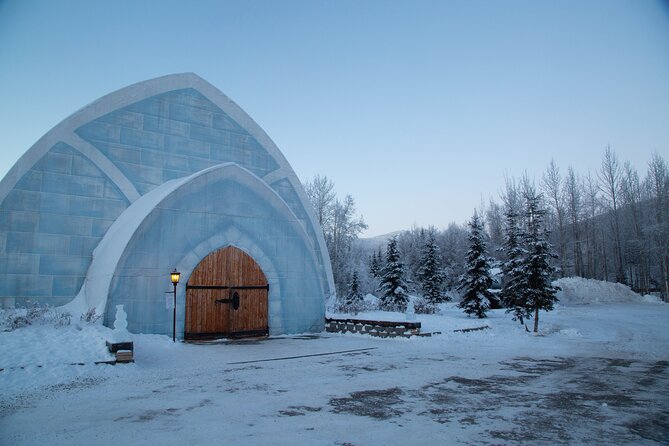 Northern Lights and Chena Hot Springs Night Tour from Fairbanks - Dinner, waiting time, and resort logistics