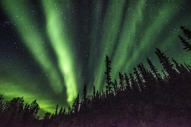 Northern Lights & Arctic Circle Tour - Northern lights watching begins on the return