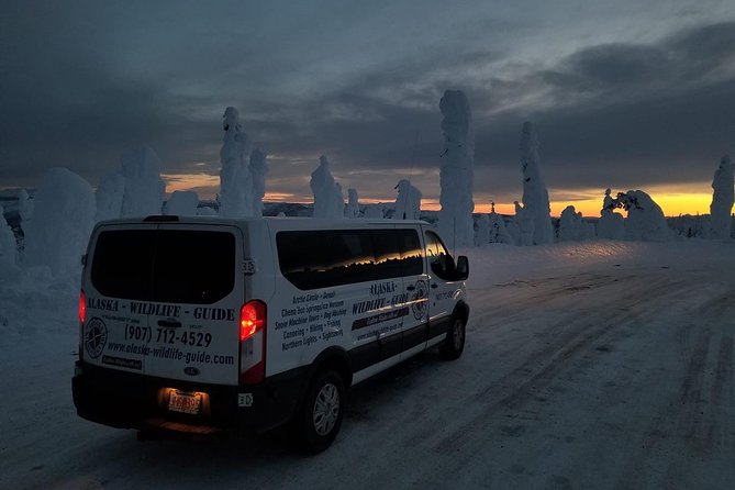 Northern Lights & Arctic Circle Tour - The real cost of a $330 tour