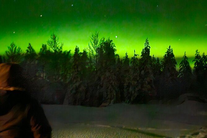 Northern Lights Auroras from Kemi-Tornio with Pickup - Handling weather, cancellation, and low forecasts