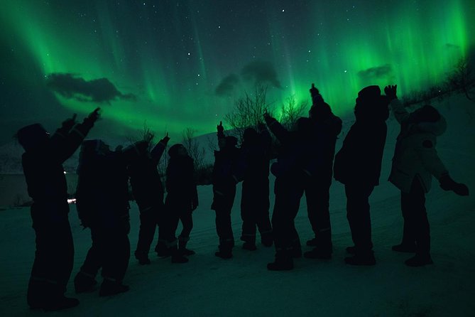 Northern Lights Big Bus Chase with Chasing Lights - The guides make a big difference
