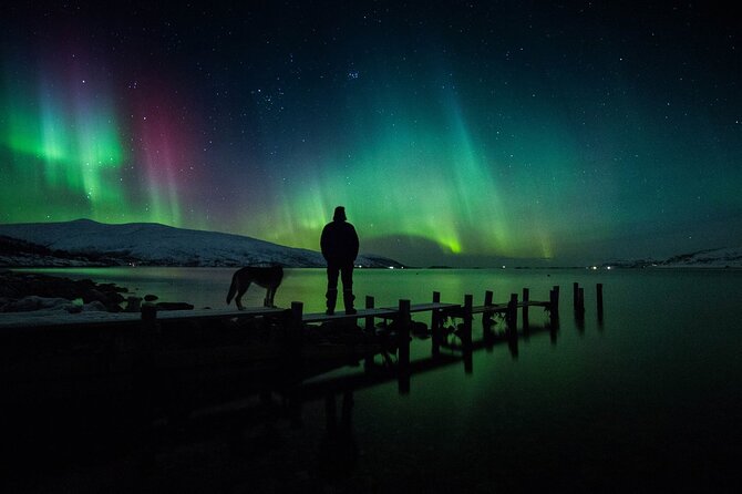 Northern Lights Big Bus Chase with Free Photos - Guides make the cold and uncertainty easier