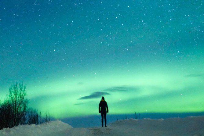 Northern Lights Bus Tour from Reykjavik with Hot Chocolate - Hot chocolate, fires, and the comfort factor
