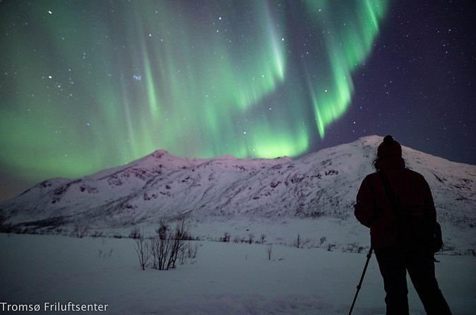 Northern Lights Chase with Authentic North Norwegian Charm - What the $210.54 price covers