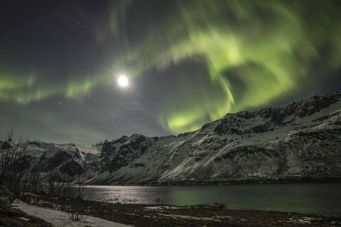 Northern Lights Chase with Photography from Tromsø - Who Will Get the Most from This Tour