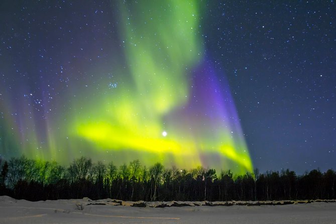 Northern Lights & Chena Hot Springs Tour - Dinner at the resort, with time and cost in mind