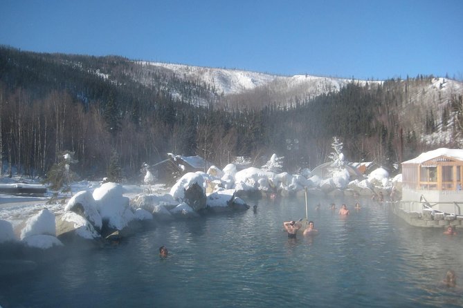 Northern Lights & Chena Hot Springs Tour - The guides can shape the whole evening
