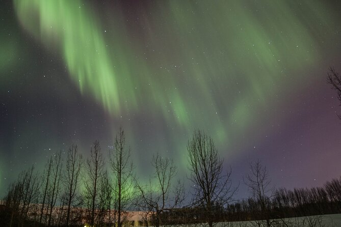 Northern Lights Classic MiniBus Tour from Akureyri - Hot chocolate, cookies, and the cold