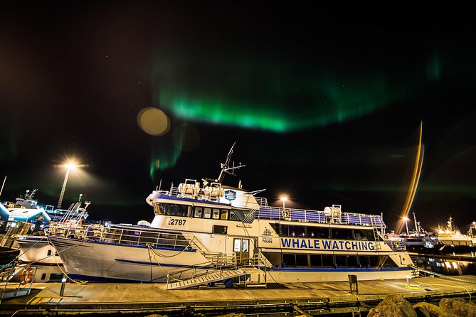 Northern Lights Cruise from Reykjavik Including Photos - Key things to know before sailing