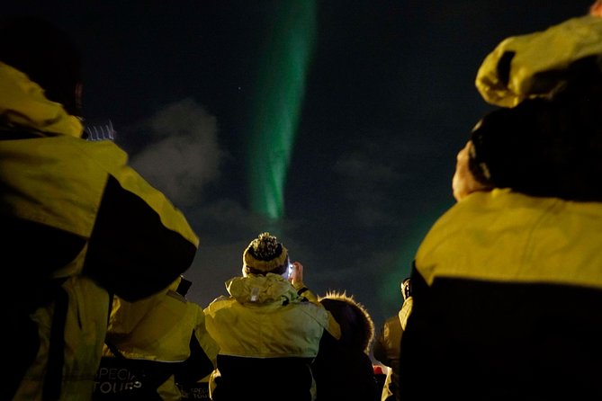 Northern Lights Cruise from Reykjavik Including Photos - What the two-and-a-half-hour outing feels like