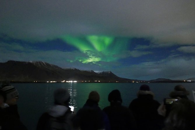 Northern Lights Cruise from Reykjavik Including Photos - The real question: will you see the northern lights?