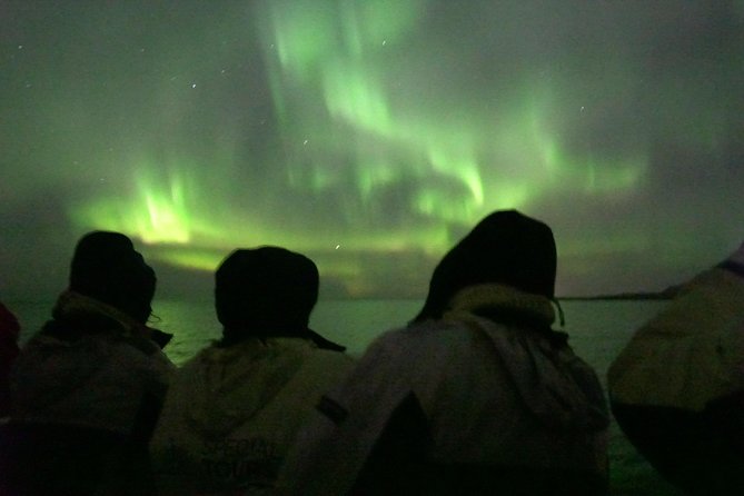 Northern Lights Cruise from Reykjavik Including Photos - When the boat works well, and when it does not