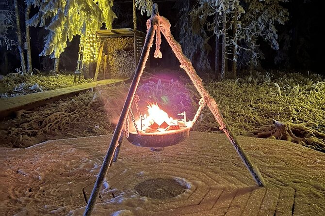 Northern Lights dinner in a Glass Igloo - Dinner, local snacks, and the value of the meal