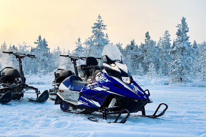 Northern Lights dinner in a Glass Igloo - Snowmobiles, quads, and the frozen lake