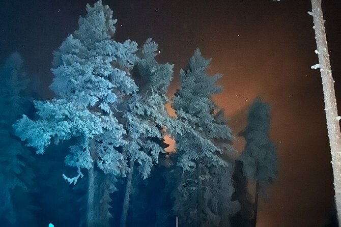 Northern Lights dinner in a Glass Igloo - Who gets the best value from $321.13