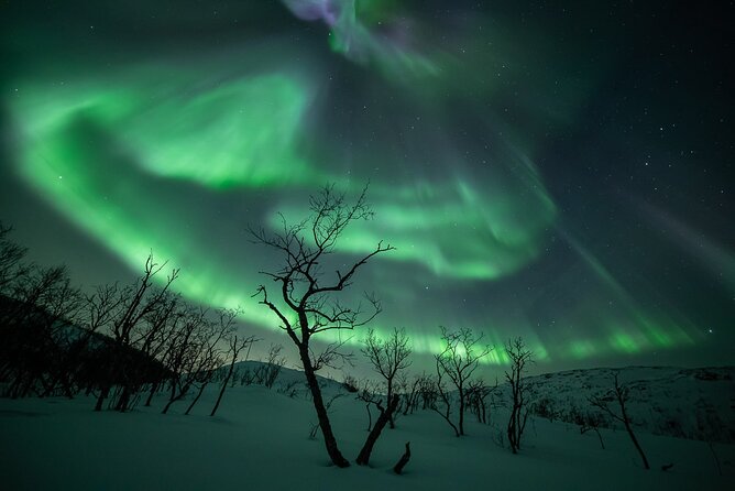 Northern Lights Expedition Tromsø - 6 people - Arctic Photo Guide - Forecast reading is the heart of the evening