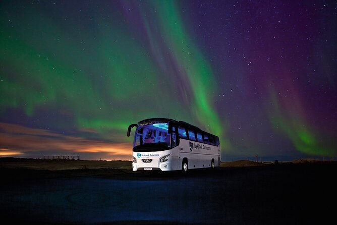 Northern Lights Guided Bus Tour from Reykjavik - Who should book this bus tour