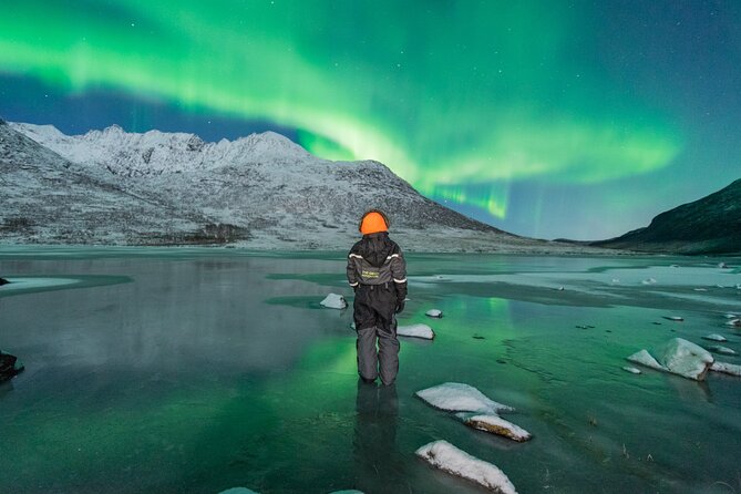 Northern Lights Hunt with The Green Adventure - photos included - The value of the $225.64 price
