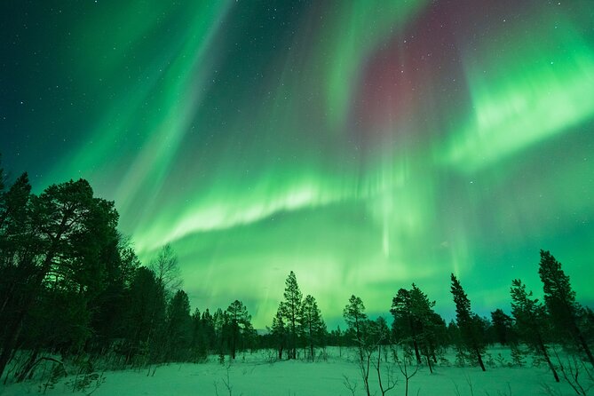 Northern Lights Hunt with The Green Adventure - photos included - What happens on the 6 to 9 hour outing