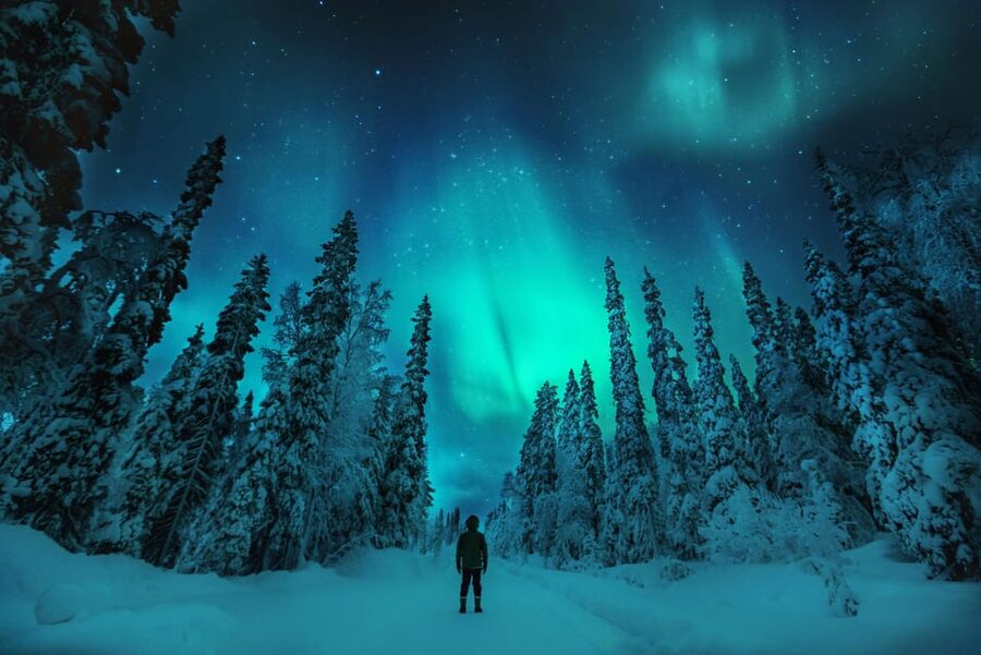 Northern Lights Hunting with Aurora Workshop - Cold-weather comfort and what is included