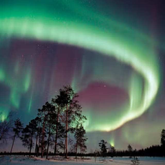 Northern Lights Hunting with Aurora Workshop - Who will enjoy this four-hour outing