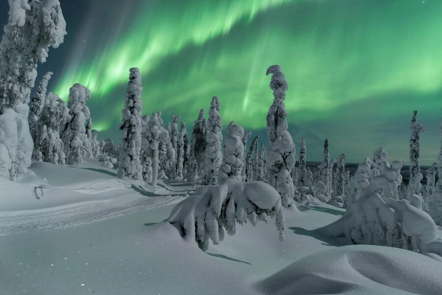 Northern Lights Hunting with Aurora Workshop - From theory to the aurora hunt