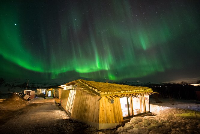 Northern Lights Husky Visit - From Tromsø to the husky camp