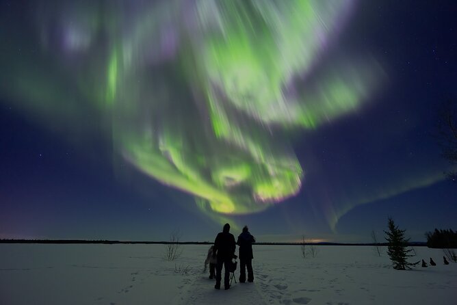Northern Lights Lodge & Chase Tour from Fairbanks - Key points to know before you book