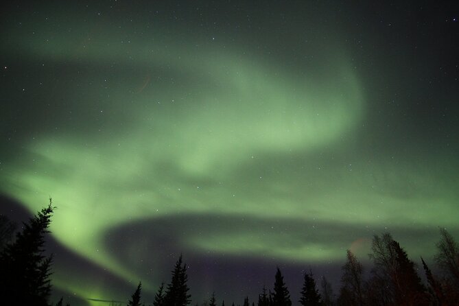 Northern Lights Murphy Dome Viewing in Fairbanks - What the guide adds to the night