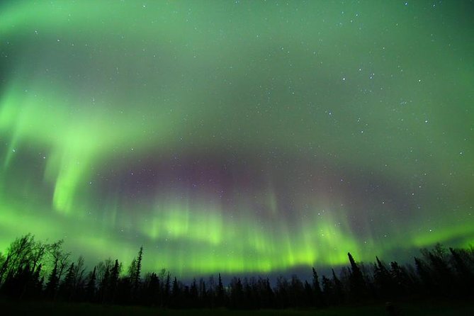 Northern Lights Murphy Dome Viewing in Fairbanks - Who should choose this Murphy Dome outing?