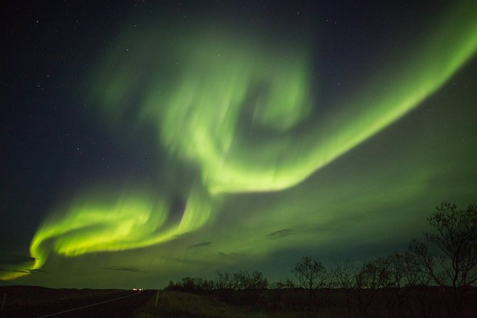Northern Lights Night Tour from Reykjavik - How good are the guides?