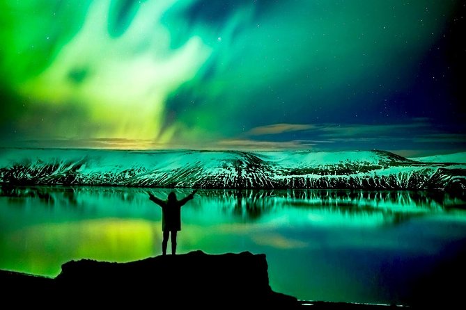 Northern Lights Night Tour from Reykjavik - Price and value at $63.32