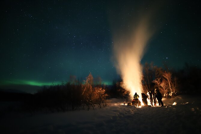 Northern Lights Photography Tour - Best timing, group size, and family rules