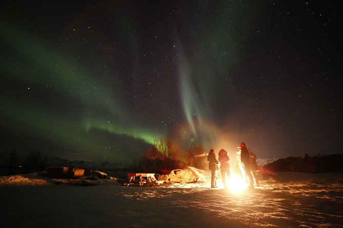 Northern Lights Photography Tour - Who will enjoy this tour most