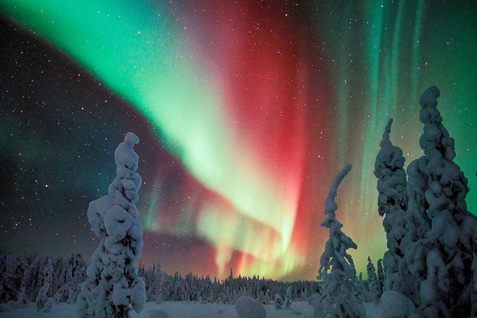 Northern Lights Photography Tour from Rovaniemi - From central Rovaniemi to the Lapland Welcome office