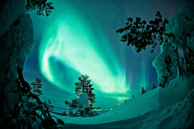 Northern Lights Photography Tour from Rovaniemi - Guides, group size, and the feel of the evening
