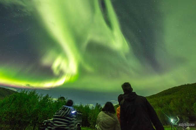 Northern Lights Private tour with your special ones - Greenlander - Why private aurora chasing matters in Tromsø