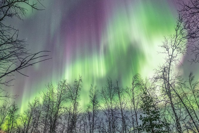 Northern Lights Private tour with your special ones - Greenlander - Who will get the most from this tour