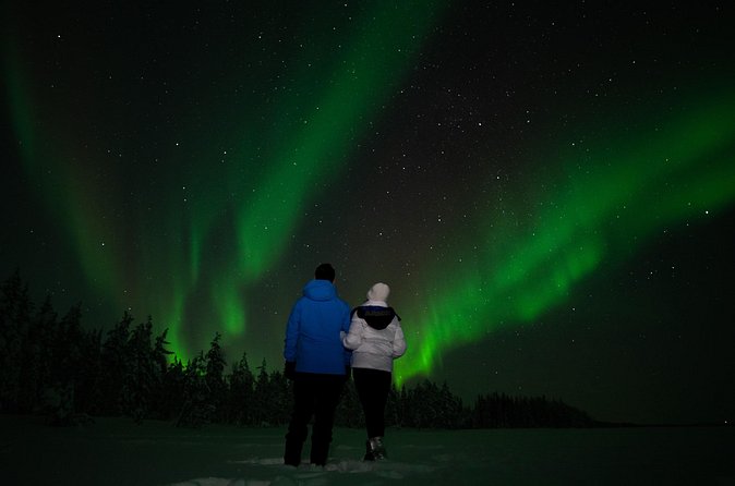Northern Lights Reindeer Sledge Ride - What the 20-minute reindeer ride feels like