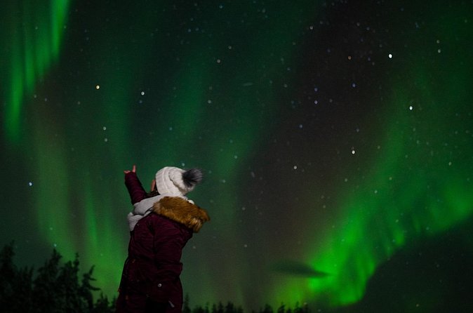Northern Lights Reindeer Sledge Ride - How much value do you get for $128?