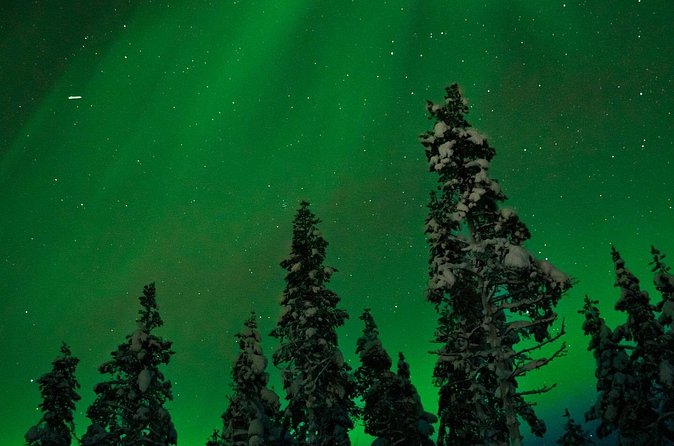 Northern Lights Reindeer Sledge Ride - Practical details that can make or break the evening
