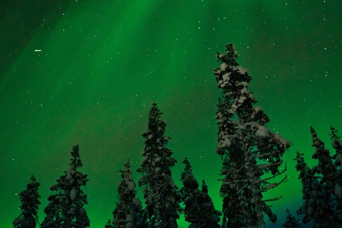 Northern Lights Reindeer Sledge Ride - Getting ready in thermal clothing