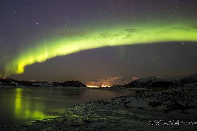 Northern Lights Safari from Tromso - How the $152.21 price earns its place