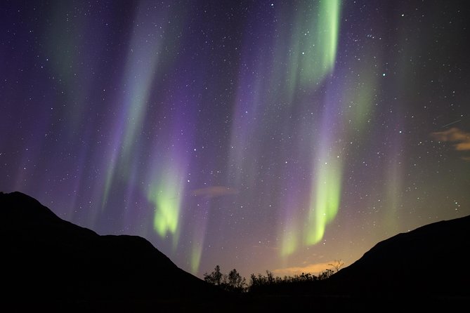Northern Lights Safari from Tromso - Small details that can make the evening easier