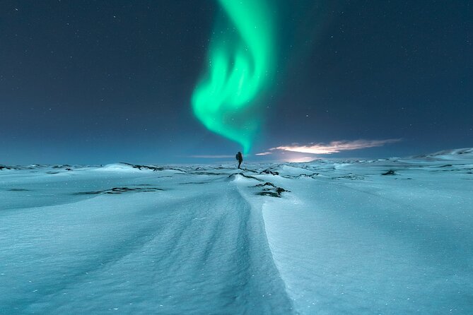 Northern Lights Small-Group Tour with Free Photos & Hot Chocolate - Is $118.27 good value?