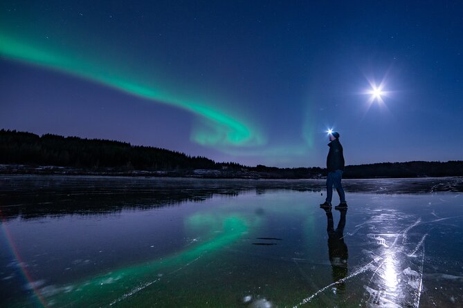 Northern Lights Small-Group Tour with Hot Chocolate & Photos - Price and what you get for $172.41