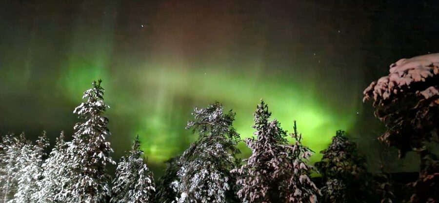 Northern Lights Snowshoe Hike in Levi with Latvian Guide - Key points to know before you book