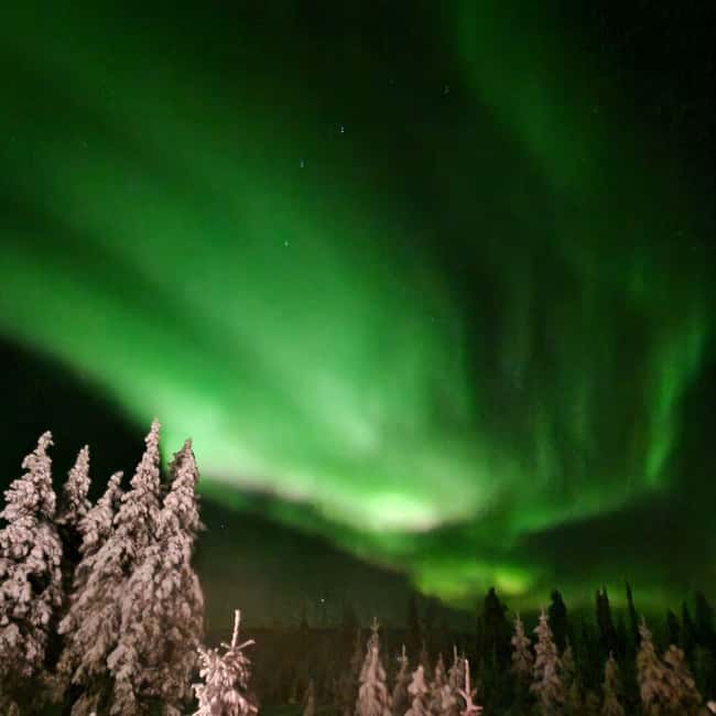 Northern Lights Snowshoe Hike in Levi with Latvian Guide - A Latvian guide and local stories