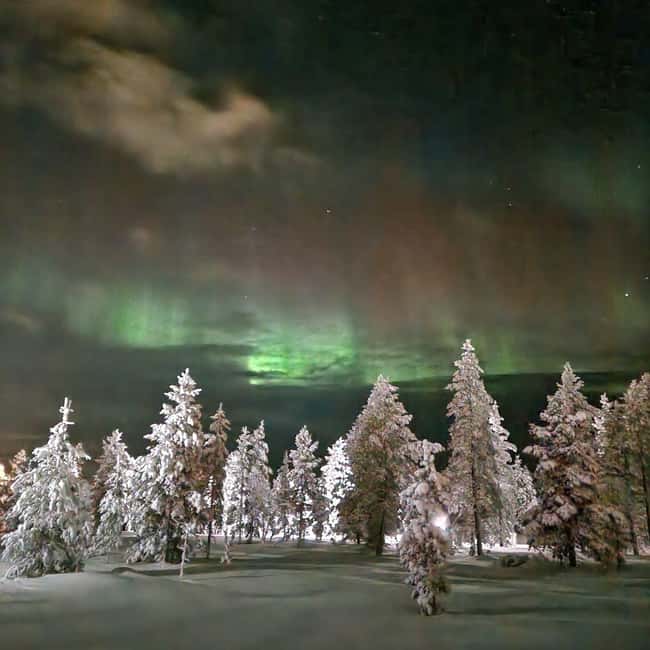 Northern Lights Snowshoe Hike in Levi with Latvian Guide - Tea, snacks, and the value of a small group