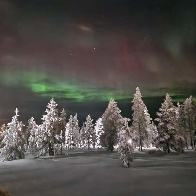 Northern Lights Snowshoe Hike in Levi with Latvian Guide - What the three hours feel like